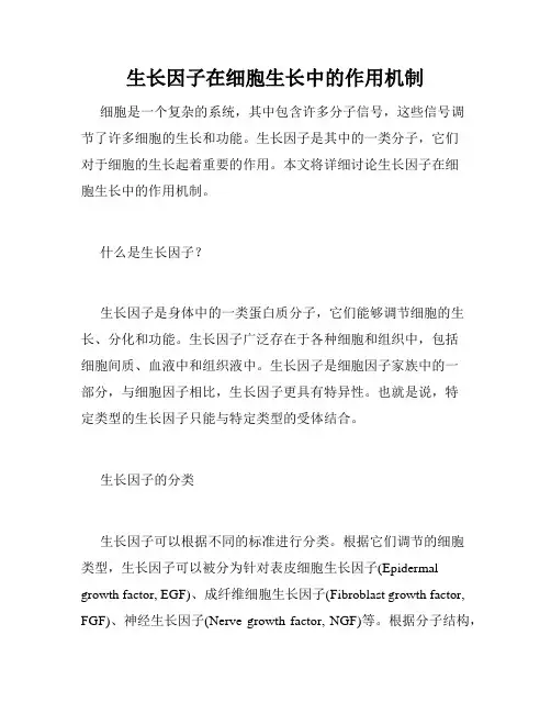 生长因子在细胞生长中的作用机制