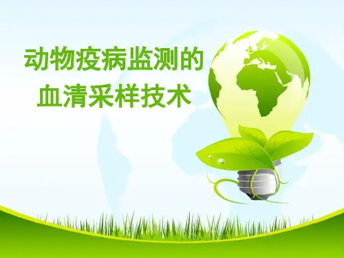 动物疫病监测血清的采集方法
