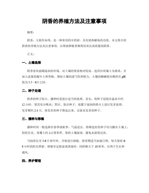 阴香的养殖方法及注意事项