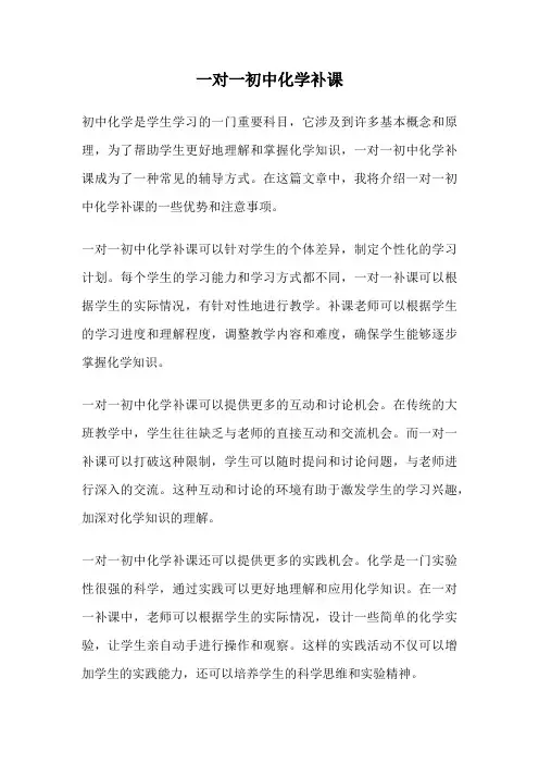 一对一初中化学补课
