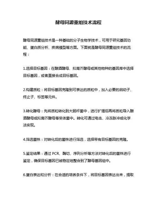 酵母同源重组技术流程