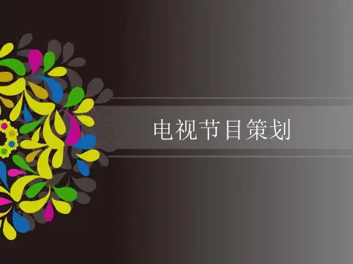 电视节目策划案例