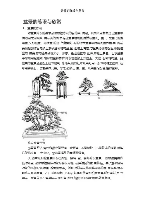 盆景的陈设与欣赏
