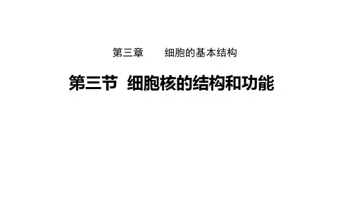 细胞核的结构和功能 课件