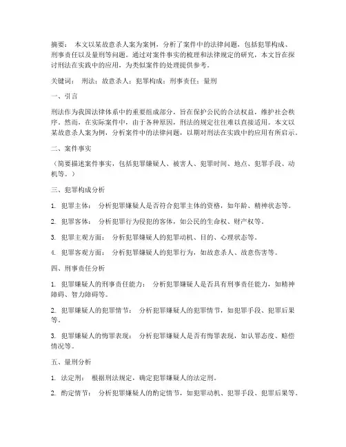 刑法案例分析论文模板