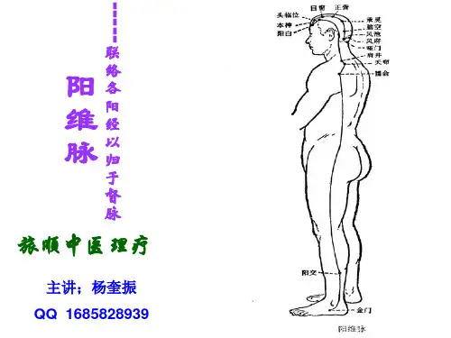 17阳维脉、阴维脉