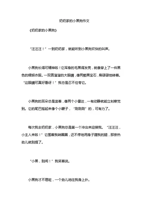 奶奶家的小黑狗作文