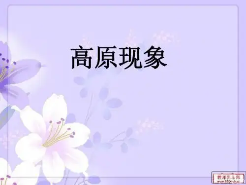 高原现象