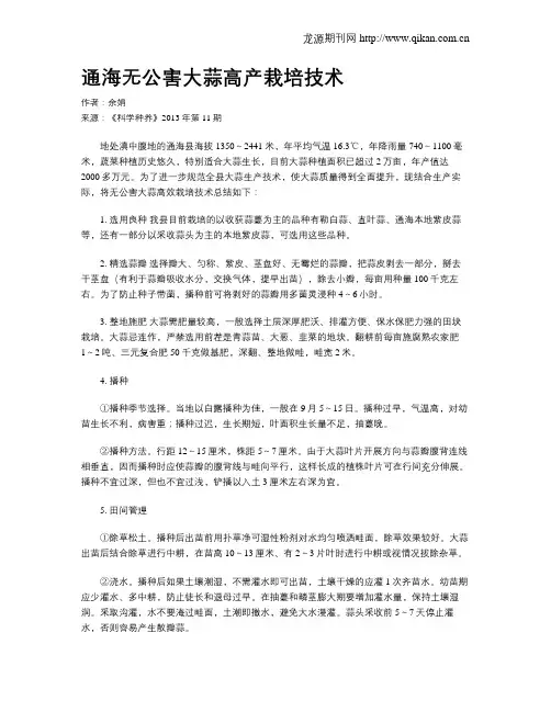 通海无公害大蒜高产栽培技术