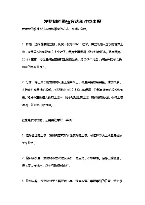 发财树的繁殖方法和注意事项