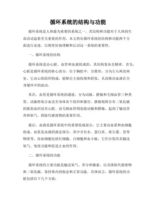循环系统的结构与功能
