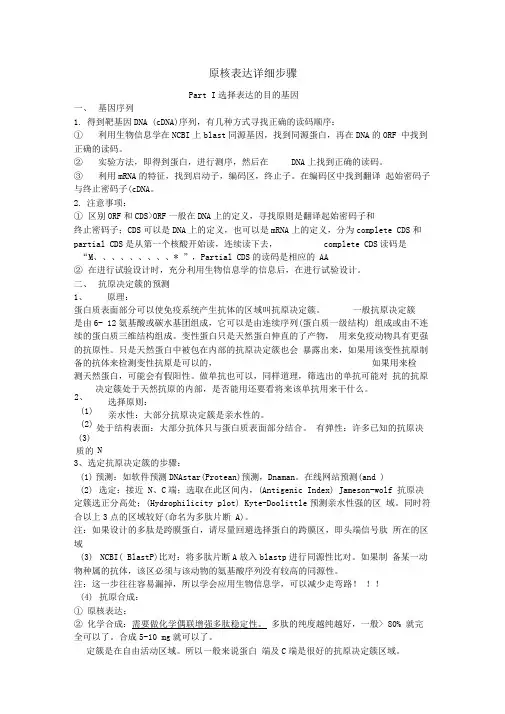 原核表达的详细步骤
