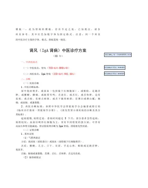 优势病种诊疗方案模板