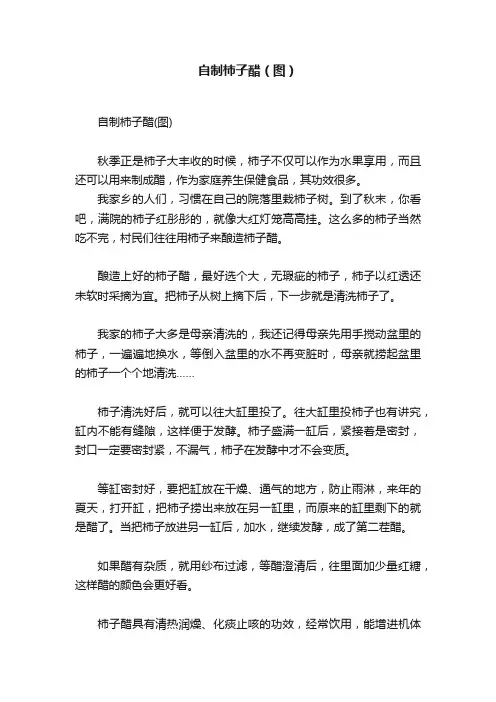 自制柿子醋（图）
