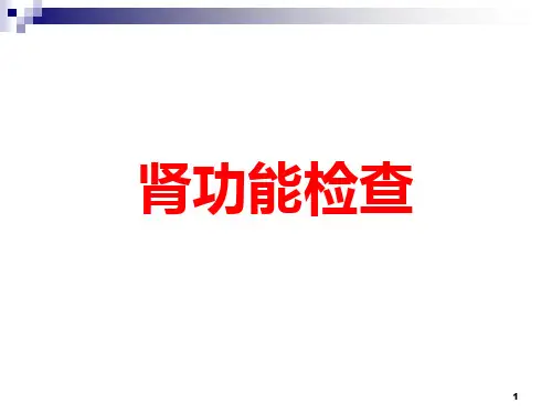 肾功能检查PPT课件