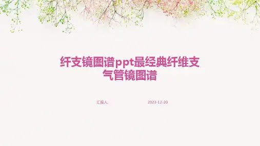 纤支镜图谱ppt最经典纤维支气管镜图谱