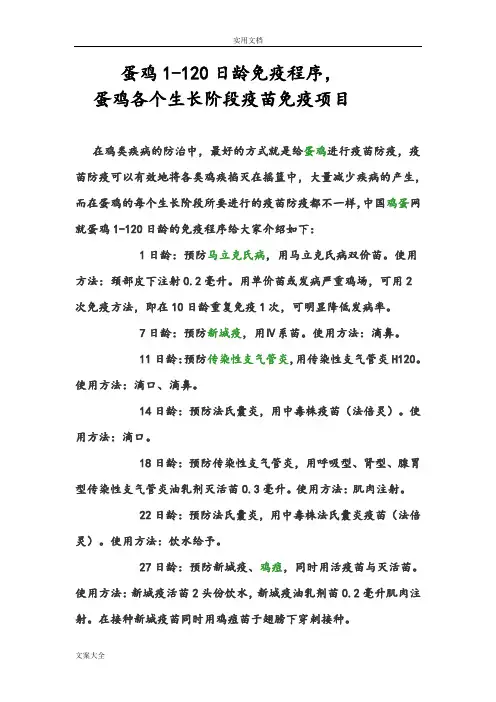 蛋鸡1-120日龄免疫程序,蛋鸡各个生长阶段疫苗免疫项目
