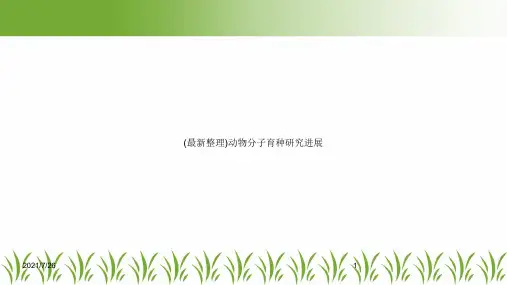 (最新整理)动物分子育种研究进展