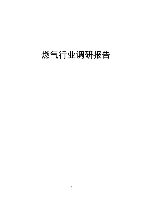 燃气行业调研报告