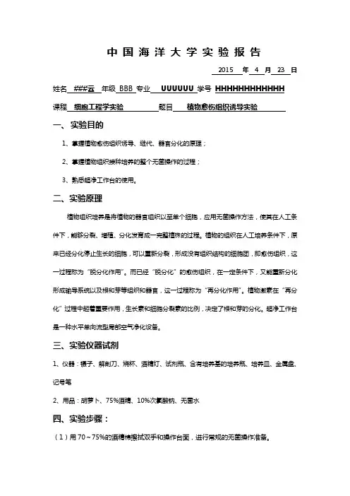 实验二 植物组织培养2-愈伤组织的诱导