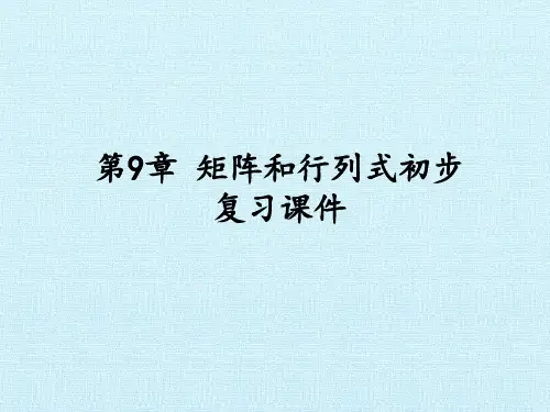 沪教版(上海)高二数学上册第9章矩阵和行列式初步复习课件