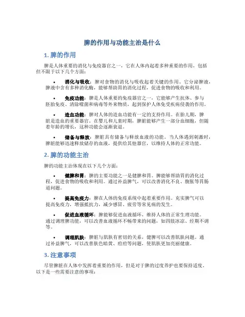 脾的作用与功能主治是什么