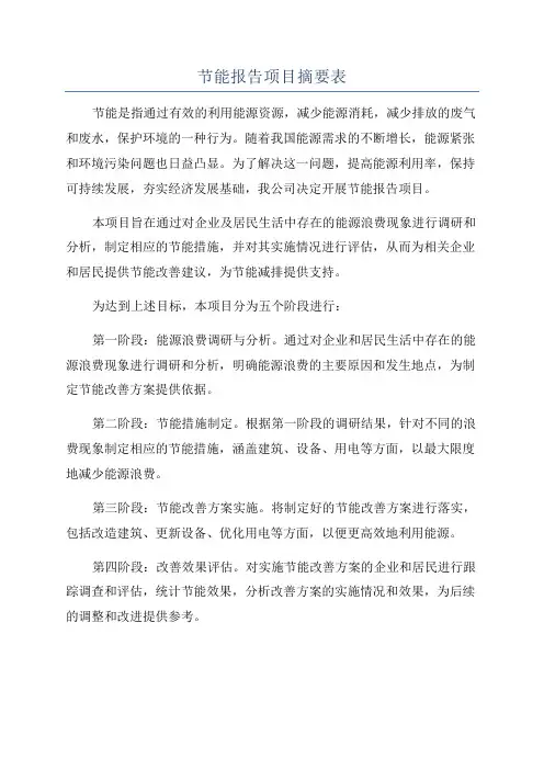 节能报告项目摘要表