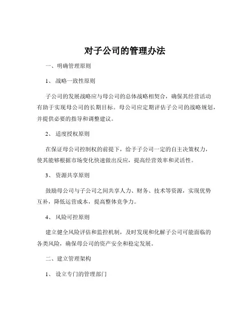 对子公司的管理办法