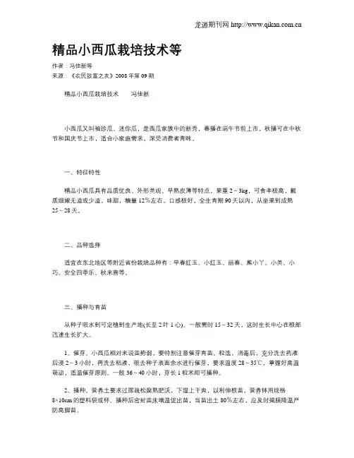 精品小西瓜栽培技术等