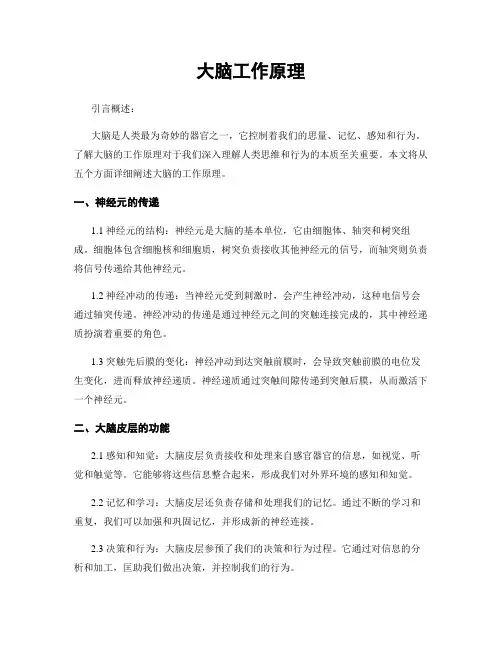 大脑工作原理