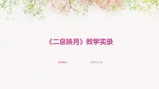 《二泉映月》教学实录