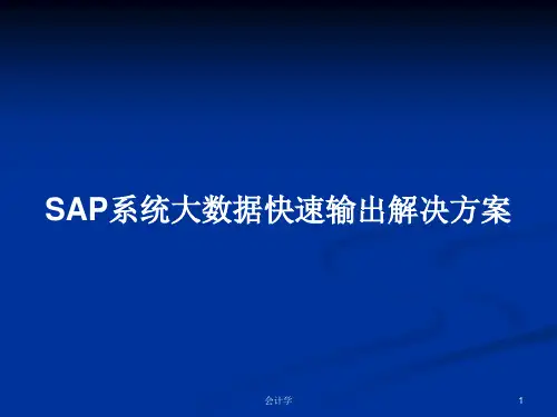 SAP系统大数据快速输出解决方案PPT教案