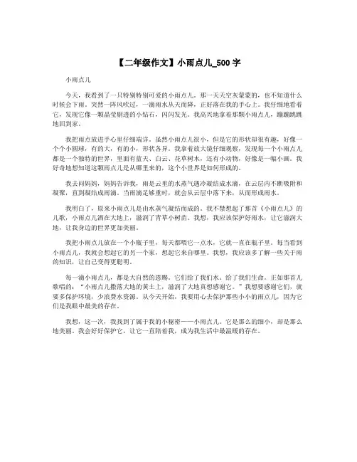 【二年级作文】小雨点儿_500字