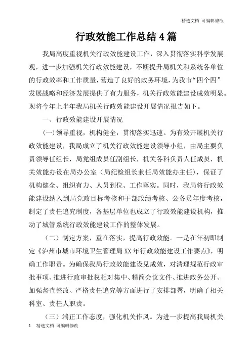 「精选」行政效能工作总结4篇-精选文档