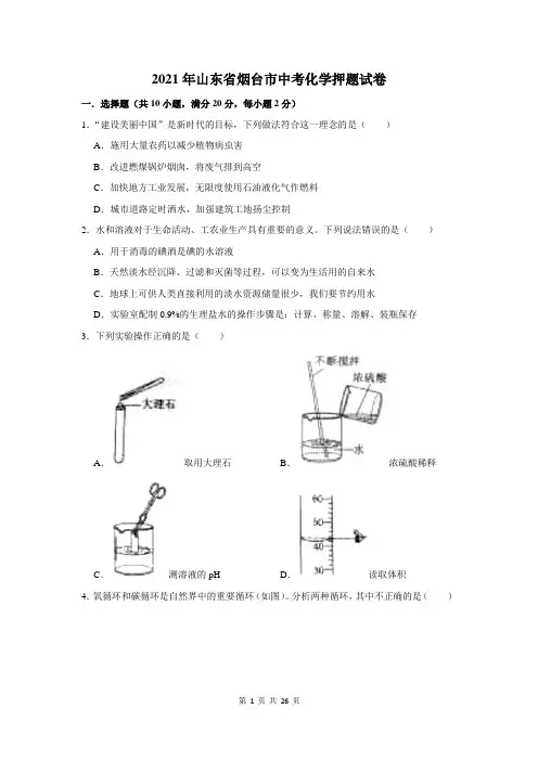 2021年山东省烟台市中考化学押题试卷及答案解析