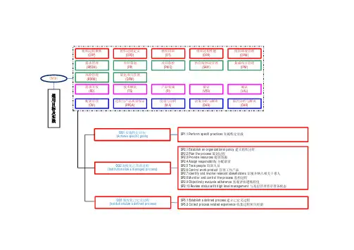 CMMI v1.3 流程图