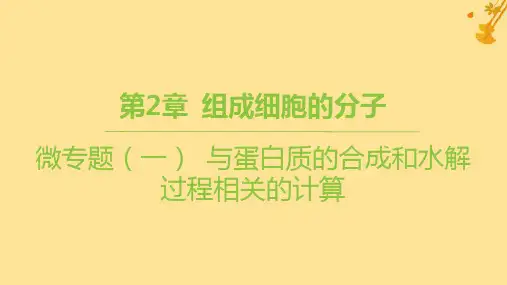 新教材高中生物第2章组成细胞的分子微专题一与蛋白质的合成和水解过程相关的计算课件新人教版必修1