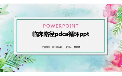 临床路径pdca循环ppt