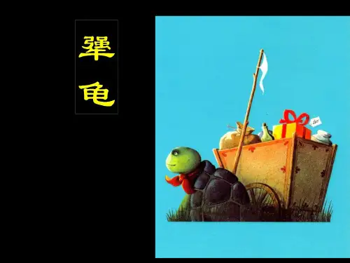 《犟龟》绘本欣赏