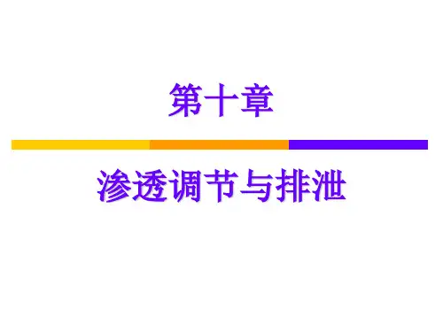 第10章 渗透调节与排泄
