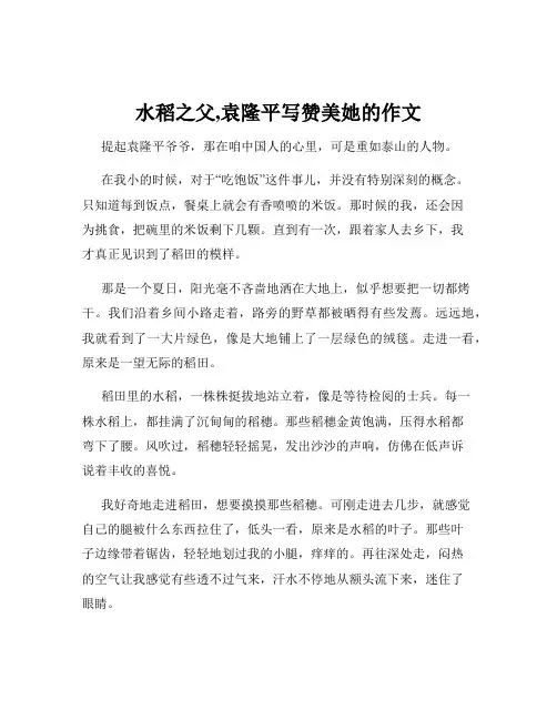 水稻之父,袁隆平写赞美她的作文