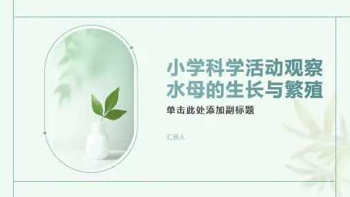 小学科学活动观察水母的生长与繁殖