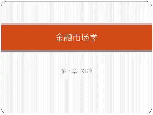 第七章  对冲精品PPT课件