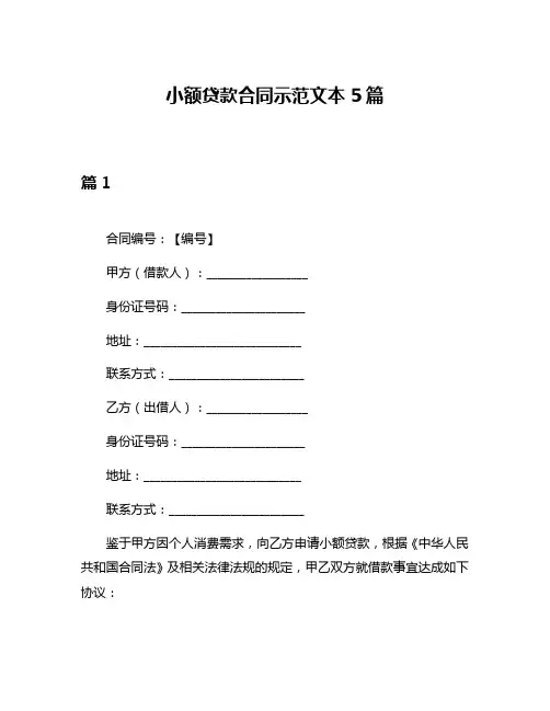 小额贷款合同示范文本5篇