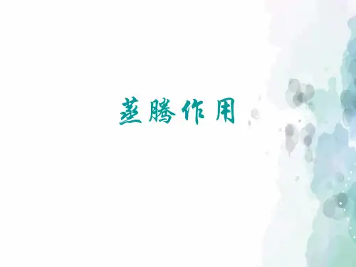 北师大版生物-七年级上册5.4 蒸腾作用课件 
