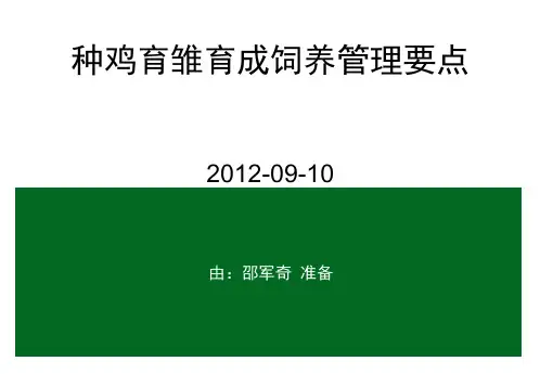 种鸡育雏育成管理要点
