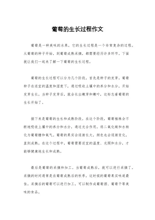 葡萄的生长过程作文