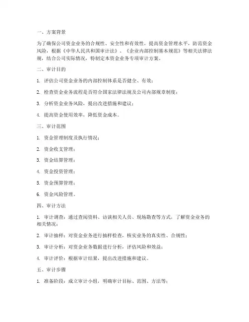 资金业务专项审计方案