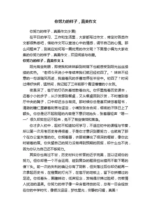 你努力的样子，真美作文（9篇）