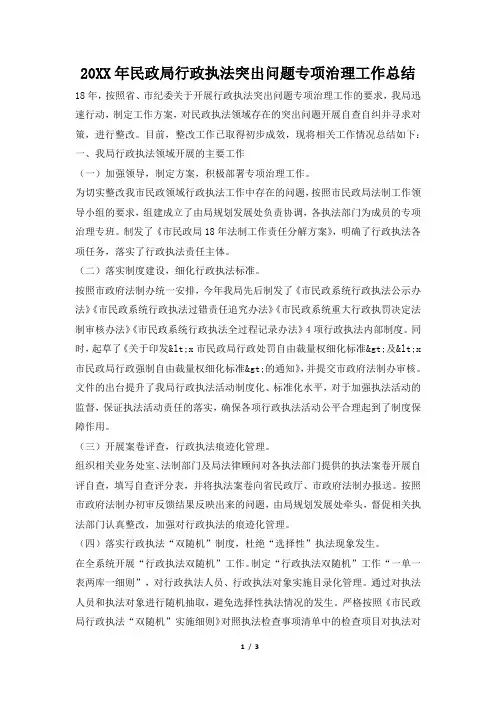 2019年民政局行政执法突出问题专项治理工作总结